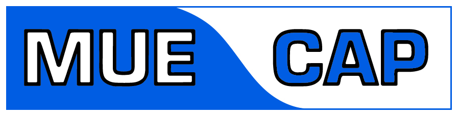 Energy Pulse Systems